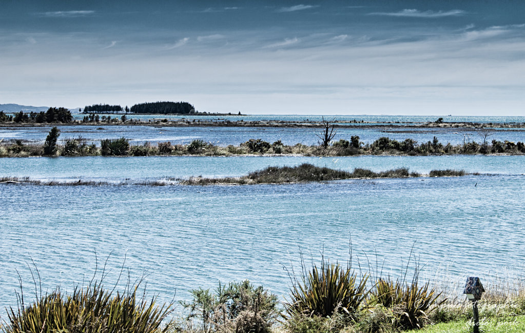 Golden bay at Collingwood 1