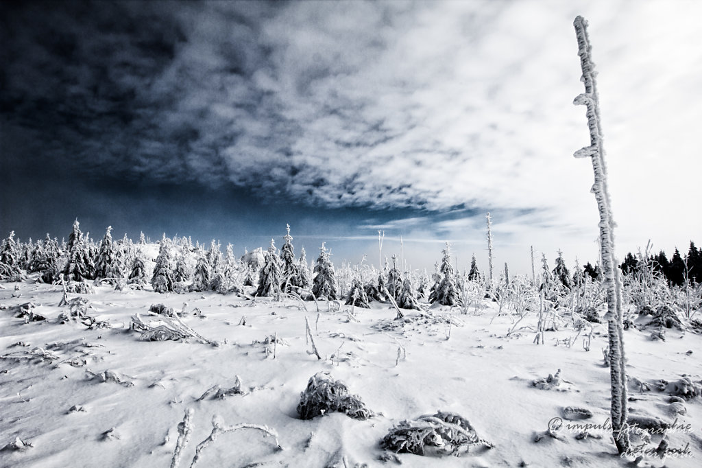 On Mt. Sternstein 2