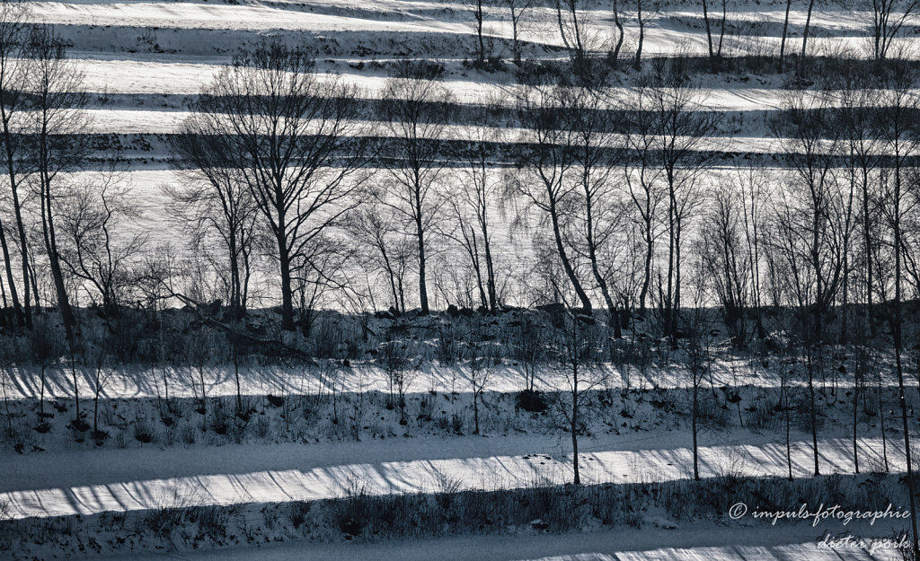 Lines