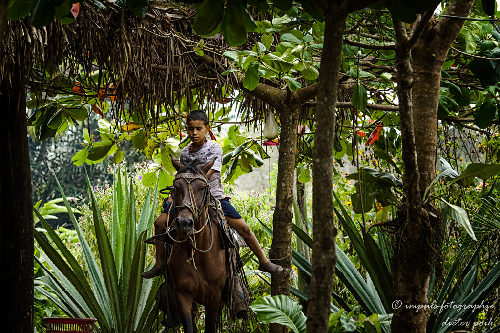 Little gaucho