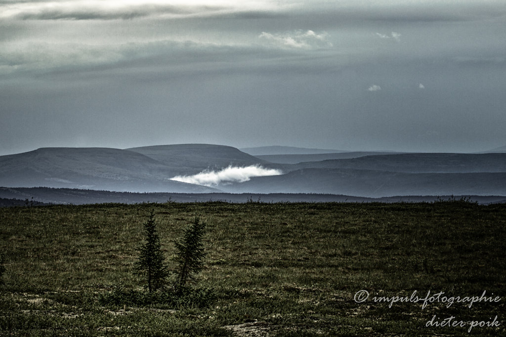 IMG-6836-Bearbeitet.jpg